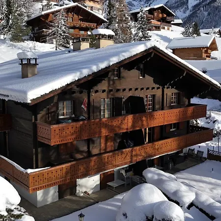 Grand Confortable Au Coeur Des Diablerets