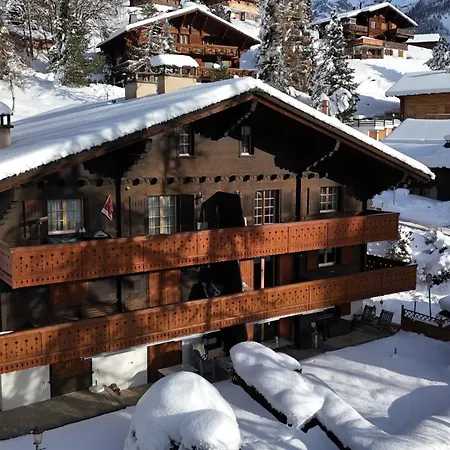 Grand Confortable Au Coeur Des Diablerets Les Diablerets