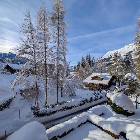 Grand Duplex, Charme, Cheminee & Balcon Diablerets