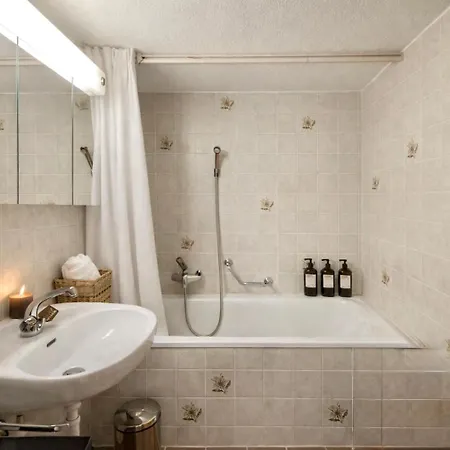 Grand Duplex, Charme, Cheminee & Balcon Diablerets Apartamento *