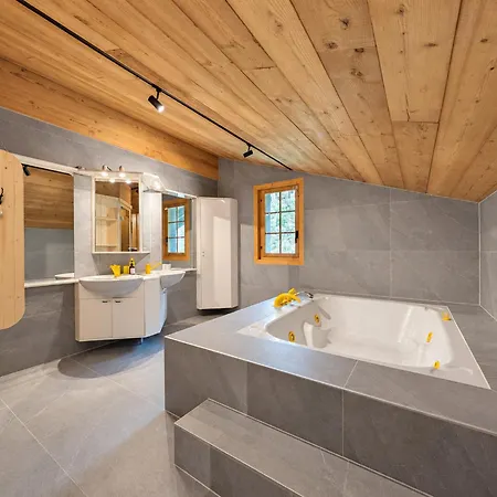 Grand duplex, charme, cheminée&balcon Diablerets