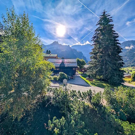 Grand duplex, charme, cheminée&balcon Diablerets Apartamento