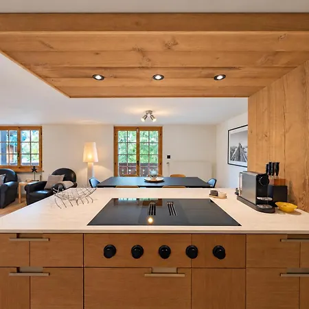 Grand duplex, charme, cheminée&balcon Diablerets Apartamento