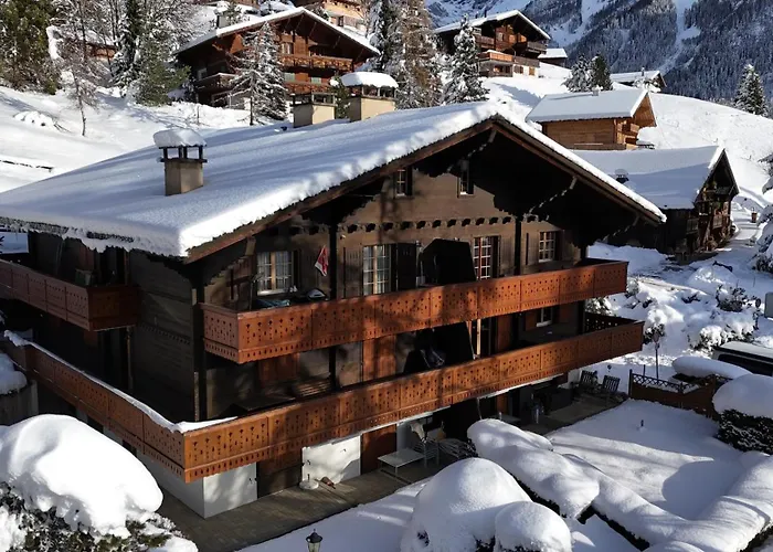 Grand Confortable Au Coeur Des Diablerets