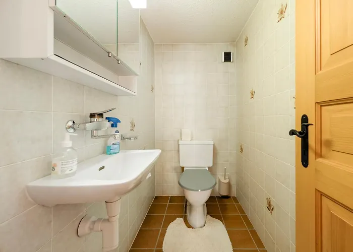 Grand Confortable Au Coeur Des Diablerets * Les Diablerets