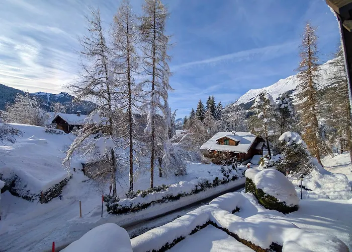 Grand Confortable Au Coeur Des Diablerets