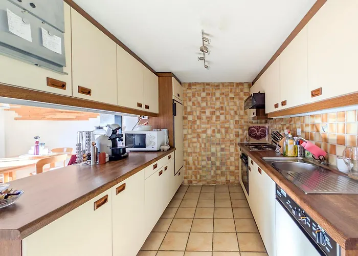 Grand Confortable Au Coeur Des Diablerets