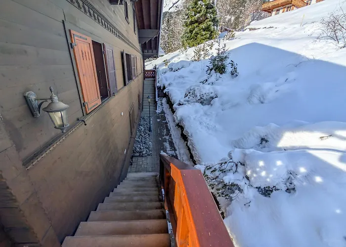 公寓 Grand Confortable Au Coeur Des Diablerets 莱迪亚布勒雷