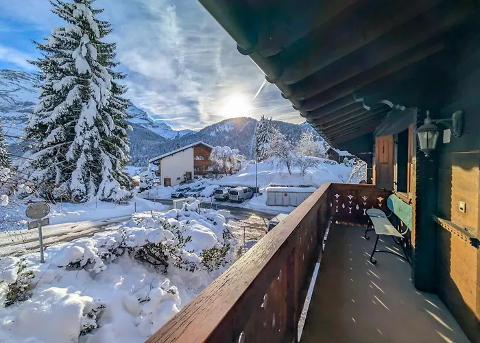 Grand Confortable Au Coeur Des Diablerets 公寓 *