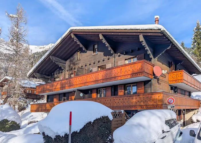 Grand Confortable Au Coeur Des Diablerets *