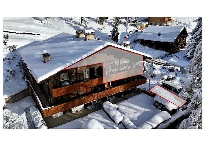 公寓 Grand Confortable Au Coeur Des Diablerets