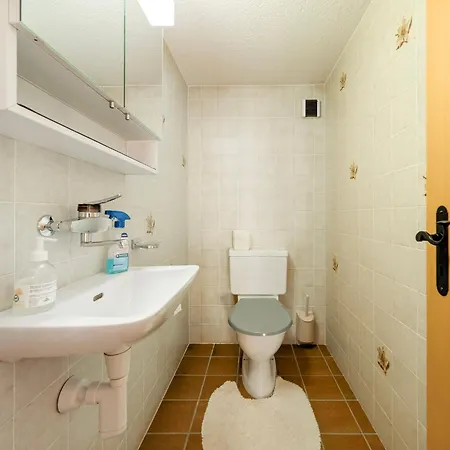 Grand Confortable Au Coeur Des Diablerets * Les Diablerets