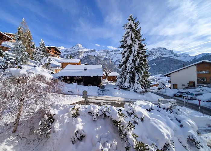 Grand Confortable Au Coeur Des Diablerets *